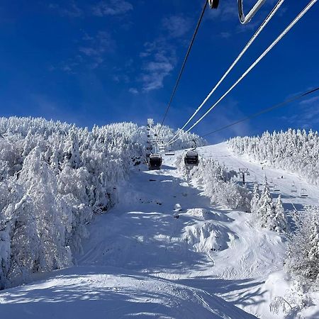 O'Berge Du Village C304 - Bord De L'Eau Magog Eksteriør billede