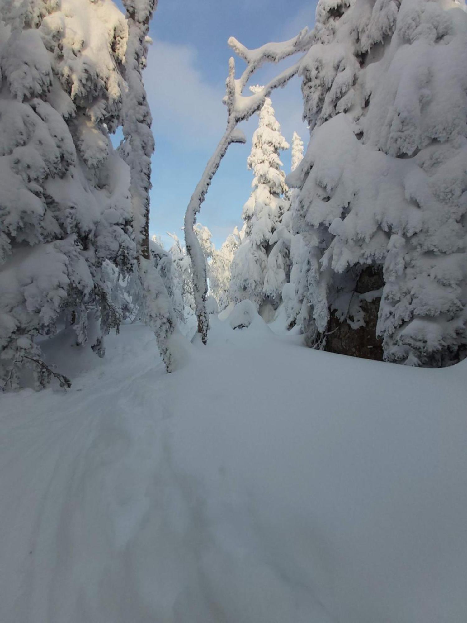 O'Berge Du Village C304 - Bord De L'Eau Magog Eksteriør billede